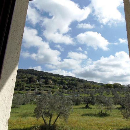 Agriturismo Il Vecchio Imposto Villa Massa Marittima Eksteriør bilde