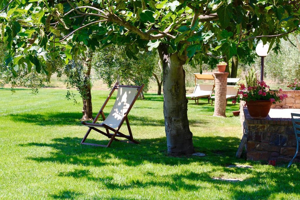 Agriturismo Il Vecchio Imposto Villa Massa Marittima Eksteriør bilde