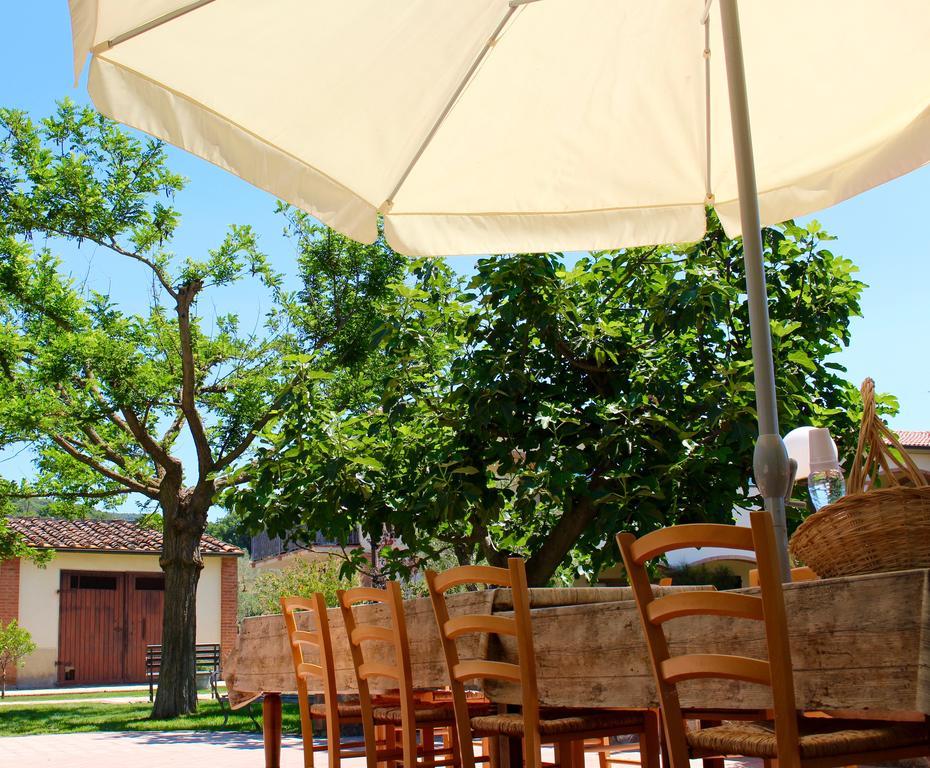 Agriturismo Il Vecchio Imposto Villa Massa Marittima Eksteriør bilde
